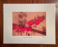 Original photographic print «Watercolor Orchid» by Michael Blumenstock