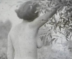 zwei alte Glasnegative – hübsche Frau Aktbilder – nude – nackt – 20-30er Jahre