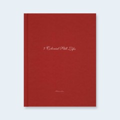 MARTIN PARR: 7 Colonial Still Lifes SIGNED Photo w/ Ltd Ed One Picture Book NEW!