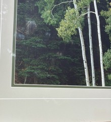 Thomas Mangelsen Guardsmans Pass – Aspen. Larger Out of Print Collectors Edition