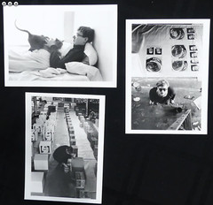 [WARHOL, Andy.: 8 Photographs of Andy Warhol