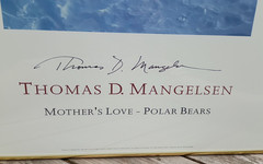 THOMAS MANGELSEN MOTHER’S LOVE – POLAR BEAR Mom & 2 CUBS LARGE Poster 24″ x 37″