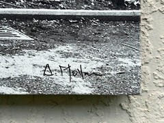 Albert Mollinea «Love is Natural» Fine Art Photo 2/10 — Central Park 2016