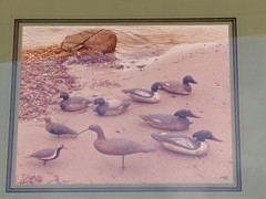 Frank Klay Sepia Photograph Signed «Mason’s» Decoys, Shorebirds 29½» x 26″ LARGE