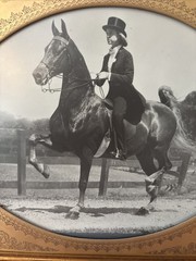 VTG Jay A. McClasky Fox Hunt Horse Saddlebred ~Copper Frame~Photograph /Signed