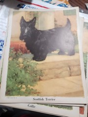 Vtg. Paper Ephemera Dog Themed