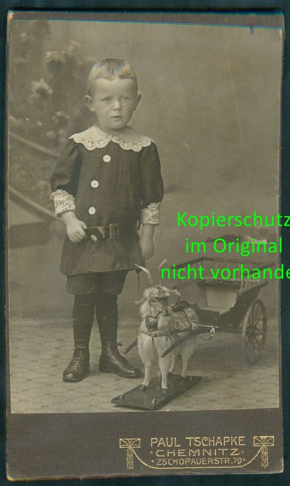 CDV PHOTO Hard Box – Child Boy Toy Goat Wagon – Chemnitz ~1905 – AP13
