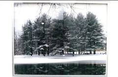Mark Balcom Wolf (Massachusetts) “Winter Pines” Signed Photo Set of 3