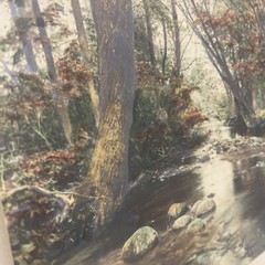 AQ Fred Thompson “Woodland Symphony” Original Hand Tinted Photograph Signed 7×9”