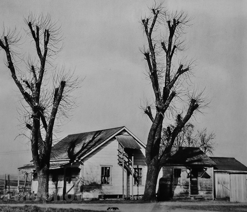 1935 Vintage Print RURAL FARM HOUSE ~ Landscape Photo Art 11×14 By EDWARD WESTON