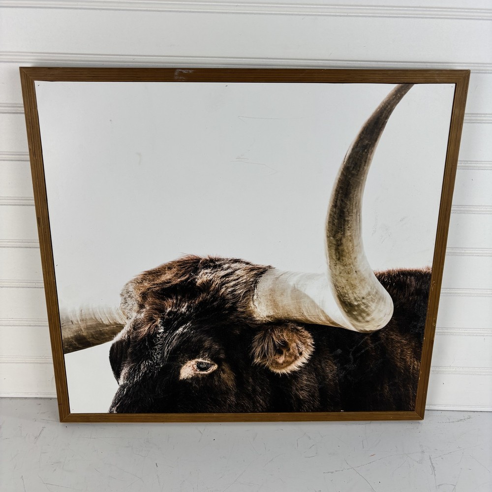 Longhorn Bull Head Close Up Framed Art Print Western Farmhouse Decor 16×17.5