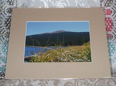 PHOTO ART ECHO LAKE COLORADO 5X7 MATTED TO A 8X10 SIGNED #75/100
