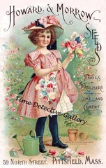 Howard Morrow Flower Seeds Ad – Historic Advertising Print