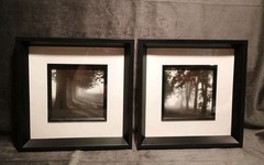 2 Modern Black & White Photography Trees Minimalist Moody 11.25 » Square Frames