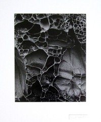 BRETT WESTON Signed 1970’s Original Photograph – «Abstract Image»