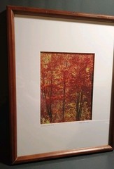 «Indian Red Lake» Signed Photography 15.5 X 19.5″ Framed & Matted 8 x 10