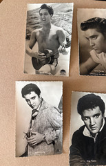 7x Elvis Presley Hummingbird Photo Card Vintage The King Postcard Post Card
