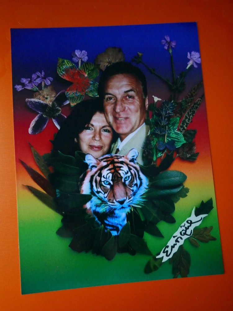 «COLLAGE»: PHOTO, COLOR PHOTOGRAPHY, HOBBY, ARTE, ATTRACTIVE WOMAN, «BROTHER», ART!
