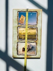 Custom wood Piranha beach photography art home deco by Steve Harris