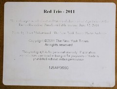 THE NEW YORK TIMES PHOTO COLLECTION REPRINT 2011 RED TRIO OZIER MUHAMMAD FRAME