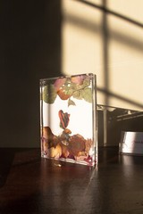 Fine Art Décor – Garden Frame · Jardin Cadré