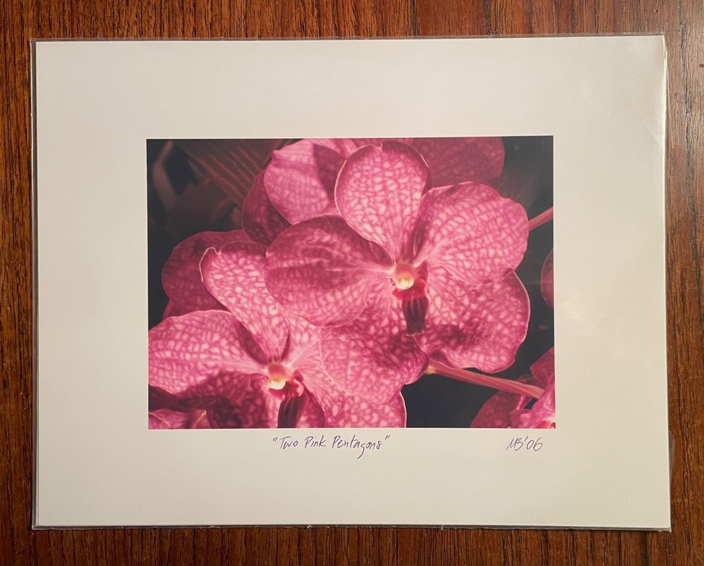 Original photographic print «Two Pink Pentagons» by Michael Blumenstock
