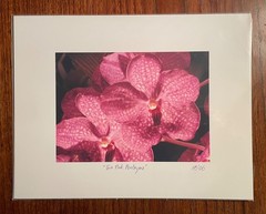 Original photographic print «Two Pink Pentagons» by Michael Blumenstock