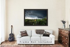 Sunflower Photography Print Storm Picture Texas Photo Nature Decor