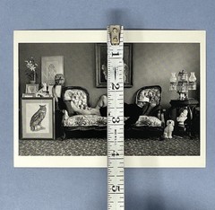 Truman Capote Art Print Card Photo By Arnold Newman Fotofolio 4.25”x6” Tiffany’s