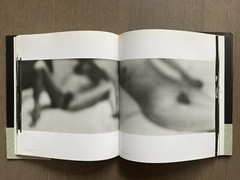 🎈RARE! +Bonus! Daido Moriyama: Stray Dog, 1999, SF Museum Of Modern Art