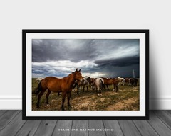 Horse Photography Print | Equine Picture | Oklahoma Wall Art | Western Decor
