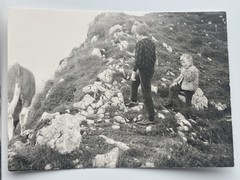 🐕 Lot 2x Vintage Photo Children with Cow in the Mountains, Circa 1960s, 7×10