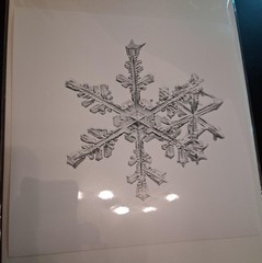 MIKE & DOUG STARN TWINS ‘Sno6_005.1 (Snowflake)’, 2005 SIGNED Photograph **NEW**