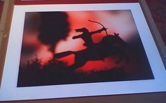DAVID LEVINTHAL ‘Wild West’ 2012 SIGNED Color Photograph 20×26 ed 20 Cowboy NEW!
