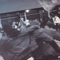 Janine Gordon Photograph 60″x24″ C-print Edition Grid Bike Kill Signed Fine Art