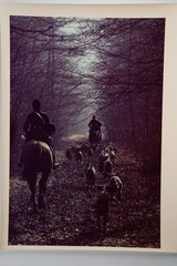 Vintage Analog Photo France Hunting Foxhunting Horse 24X30Cm 1970
