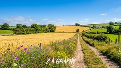 Digital Image Picture Photo Wallpaper Background Desktop AI Art Sample Product