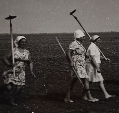 Collective Farmers, Original Vintage Photo, Ukrainian Artist Zyubritsky
