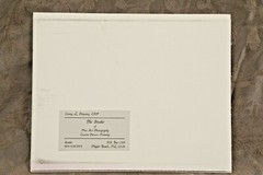CONNY L. DEMPSEY Cement Two Boy Angels Statue Photograph Signed Matted 10 x 8″