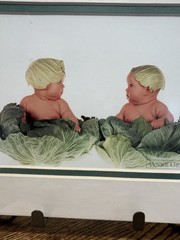 VTG Anne Geddes Baby Lot Of 6 8″X 10″ Picture In Matte 1993, 1995, 1996