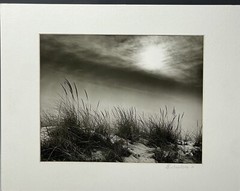 Vintage Photograph ‘On the Dunes’ Scarborough Matted Picture Beach Maritime