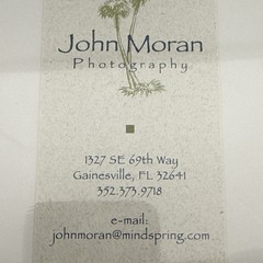 John Moran Photography Artist Signed Matted Alligators At Dusk 8×12