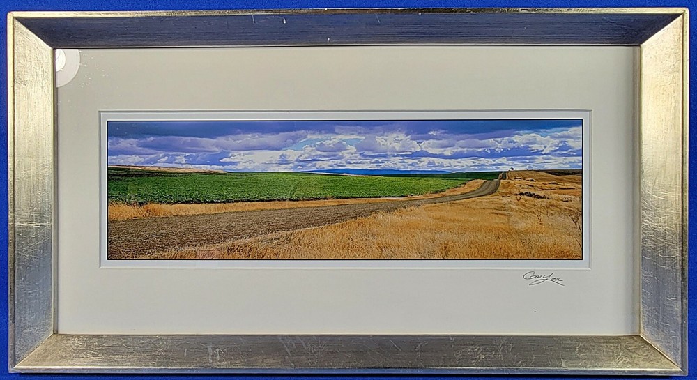 Gary Love Signed Open Edition «Copperhead Raod» Panoramic Photography Framed