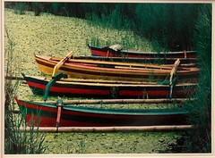 Original Signed Photograph Boats in Bali with Lily Pads by Robert Barab