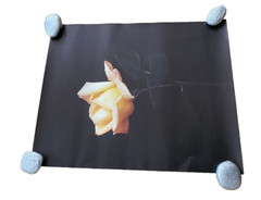 Large Yellow Flower Art Print Original Vintage 1980’s 16″X 21″