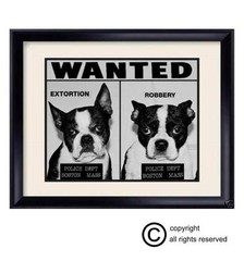 Cute Boston Terrier ‘WANTED’ Print 8×10 For Dog Lovers!