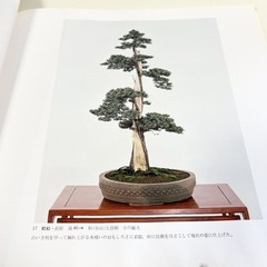 Nihon Bonsai Sakufu Ten 5th 1980 potted plants Japanese tradition art Photo Book