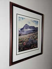 Signed Limited Edition Aaron Goldenberg 35mm Art Photograph, Utah 39×24 Framed