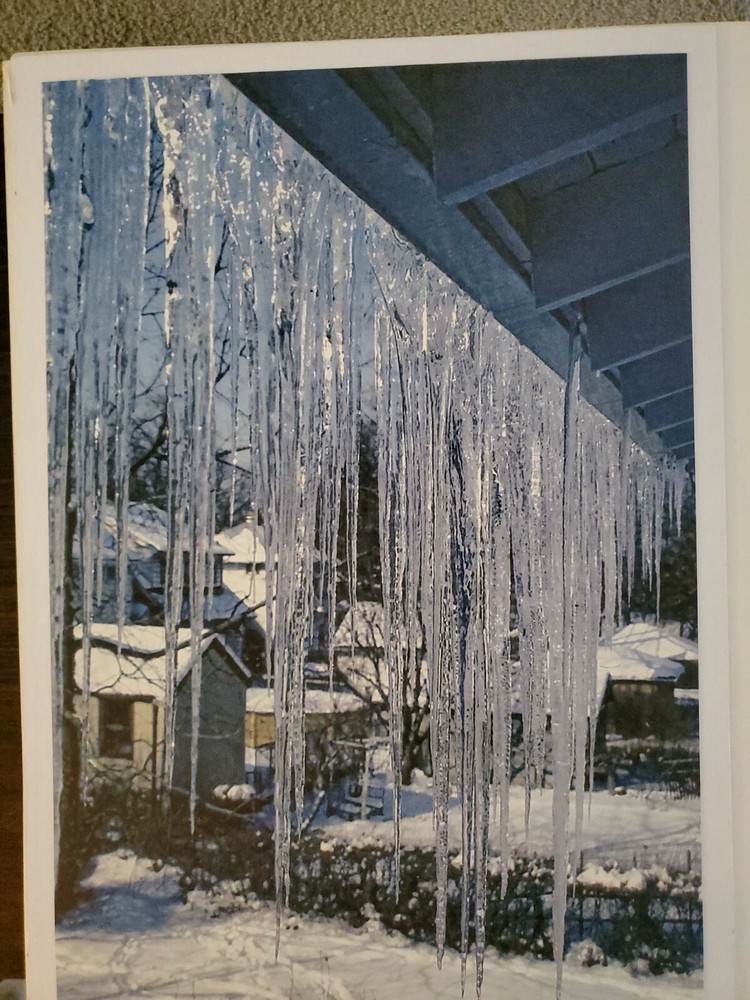 ICICLES LARGE ORIGINAL SIGNED ART PHOTO COLOR STETTNER VTG MATTE NJ CAMERA