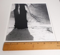 8×10 CHRIS HONEYSETT «YOSEMITE» PHOTOGRAPH SIGNED 1990 (needs re-matting)